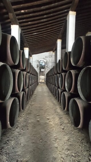 Picture 5 for Activity Jerez de la Frontera: Sherry Winery Tour with Tasting