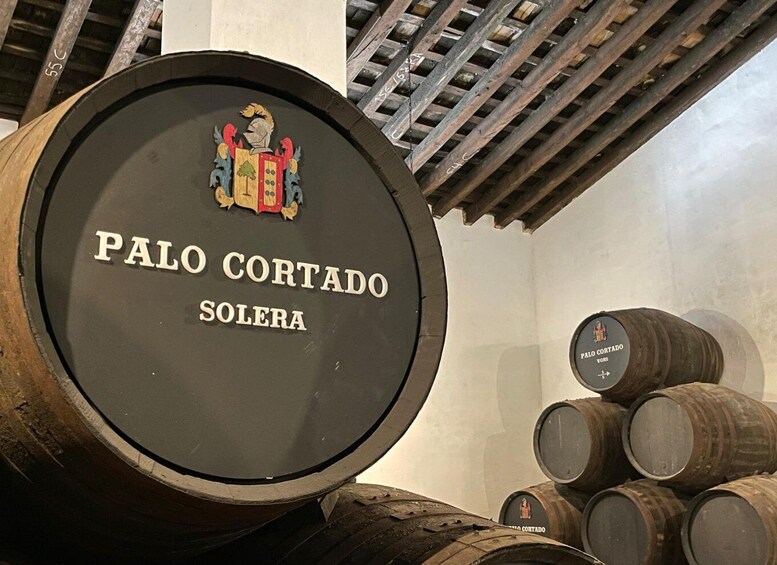 Picture 4 for Activity Jerez de la Frontera: Sherry Winery Tour with Tasting