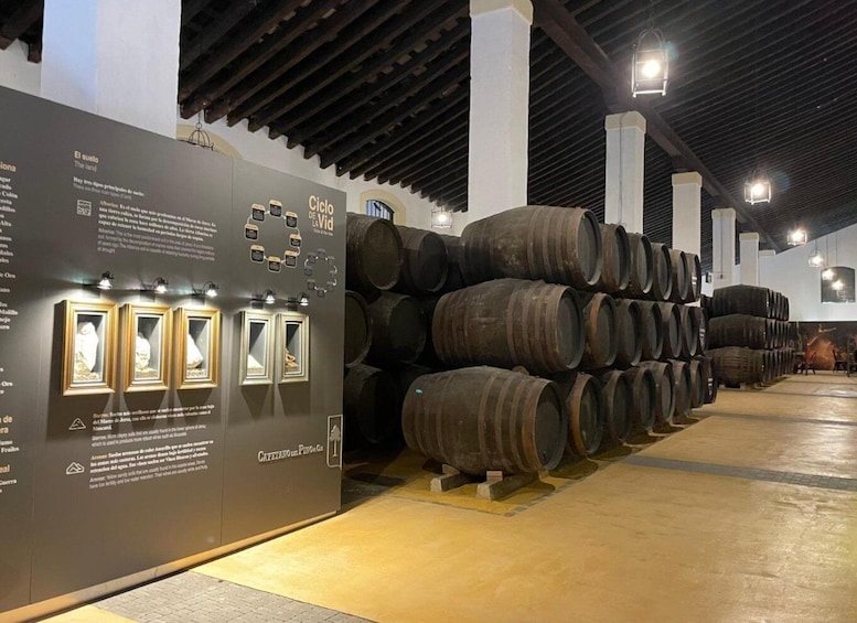 Picture 3 for Activity Jerez de la Frontera: Sherry Winery Tour with Tasting