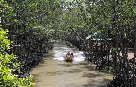 Can Gio Mangrove Biosphere Reserve 1 päivä