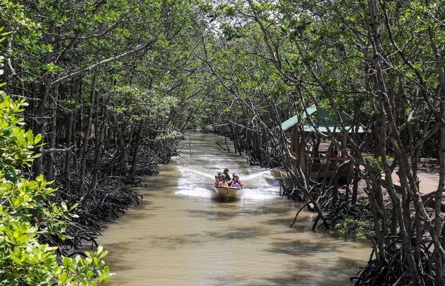 Can Gio Mangrove Biosphere Reserve 1 Day