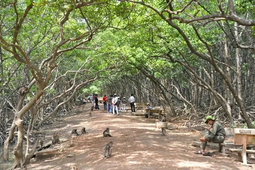 Picture 9 for Activity Can Gio Mangrove Biosphere Reserve 1 Day