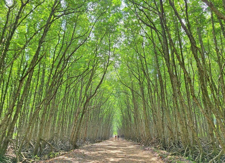 Picture 1 for Activity Can Gio Mangrove Biosphere Reserve 1 Day