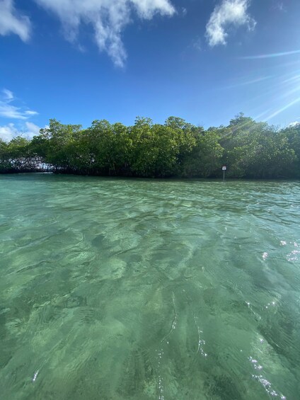 Picture 1 for Activity From La Parguera: Local Sandbars Speedboat Day Trip