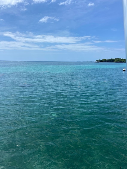 Picture 8 for Activity From La Parguera: Local Sandbars Speedboat Day Trip