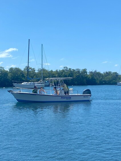 Picture 3 for Activity From La Parguera: Local Sandbars Speedboat Day Trip