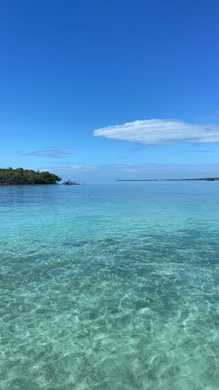 Picture 2 for Activity From La Parguera: Local Sandbars Speedboat Day Trip