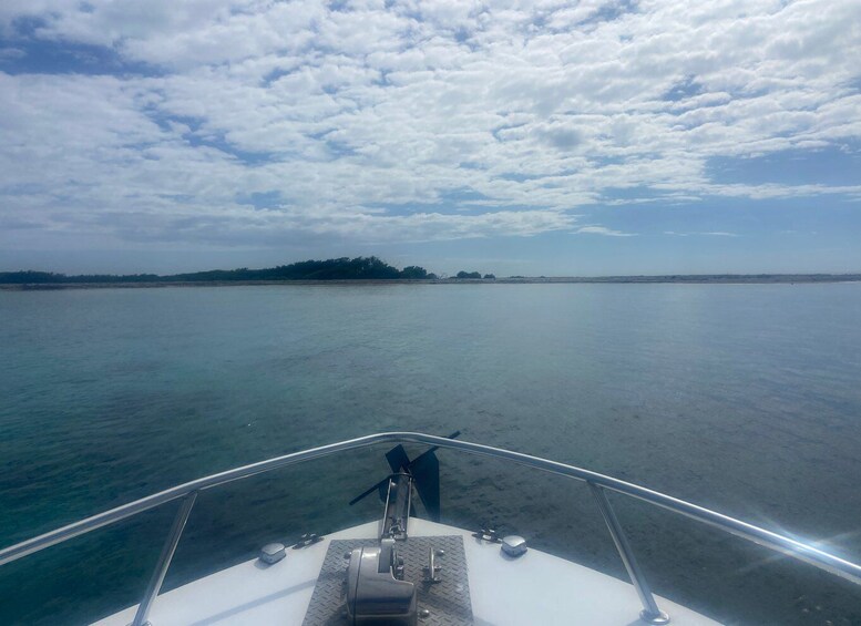 Picture 5 for Activity From La Parguera: Local Sandbars Speedboat Day Trip