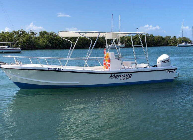 Picture 4 for Activity From La Parguera: Local Sandbars Speedboat Day Trip