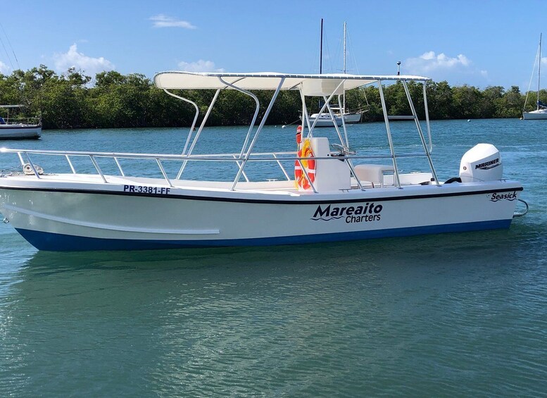 Picture 4 for Activity From La Parguera: Local Sandbars Speedboat Day Trip