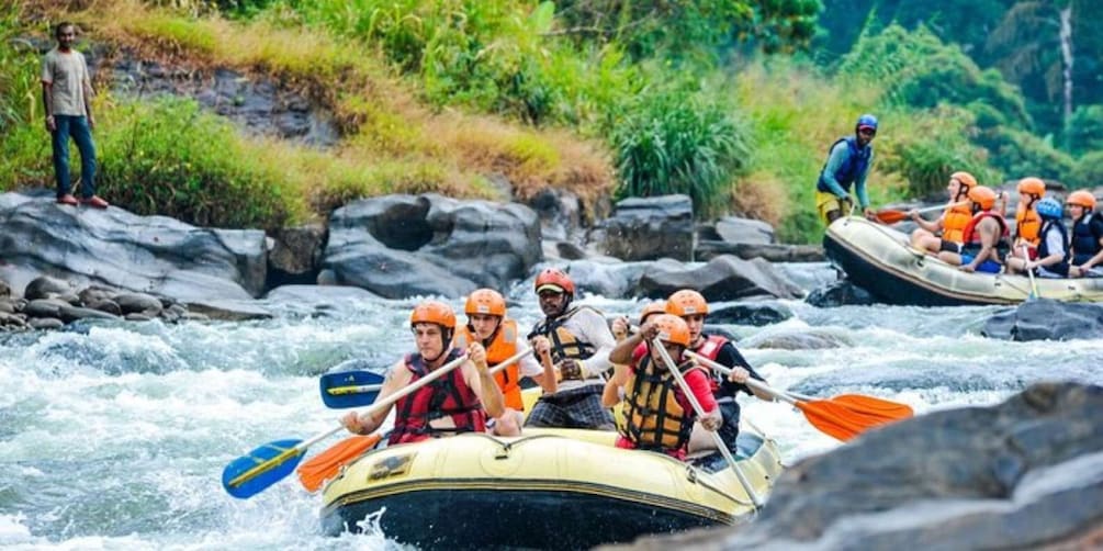 Picture 5 for Activity Adventure and Lunch: All-Inclusive Whitewater Rafting