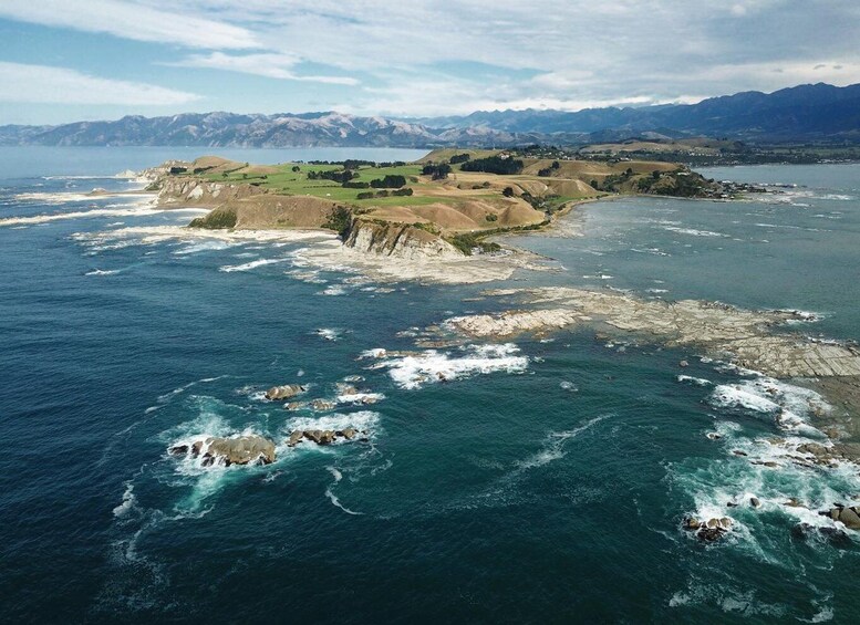 Picture 3 for Activity From Christchurch: Kaikoura Whale Watching Day Tour