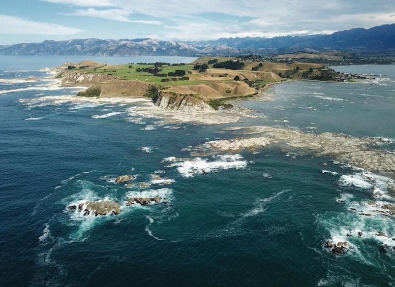 Picture 3 for Activity From Christchurch: Kaikoura Whale Watching Day Tour