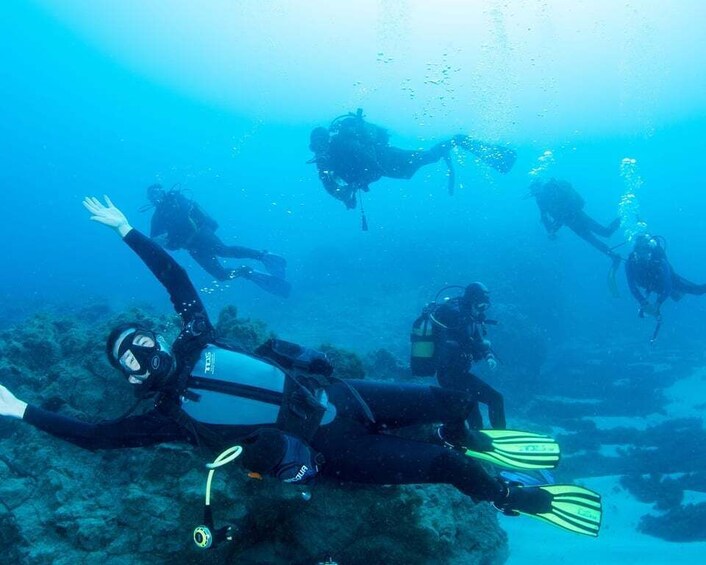 Picture 2 for Activity Beginner Scuba Dive with Scubapoint Tenerife in Turtle Area