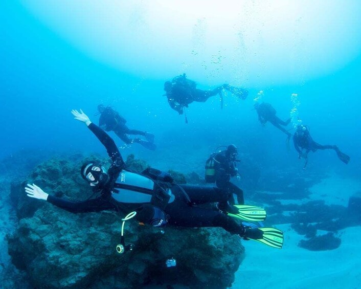 Picture 2 for Activity Beginner Scuba Dive with Scubapoint Tenerife in Turtle Area