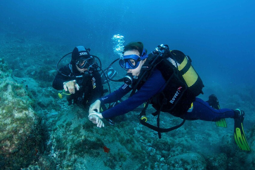 Beginner Scuba Dive with Scubapoint Tenerife in Turtle Area