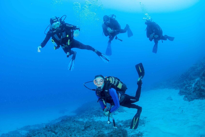 Picture 1 for Activity Beginner Scuba Dive with Scubapoint Tenerife in Turtle Area