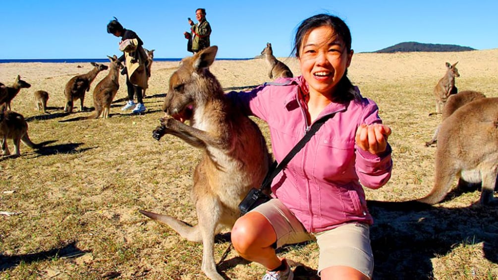 Woman poses next to Kangaroos