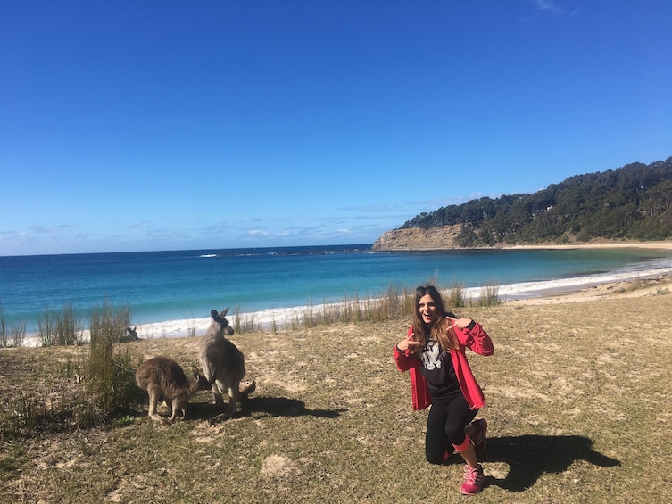 Full-Day Pebbly Beach & Batemans Bay Tour with Kayaking