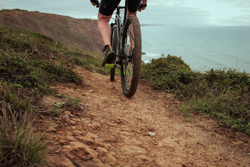 Picture 2 for Activity Nazaré: Mountain Bike Tour