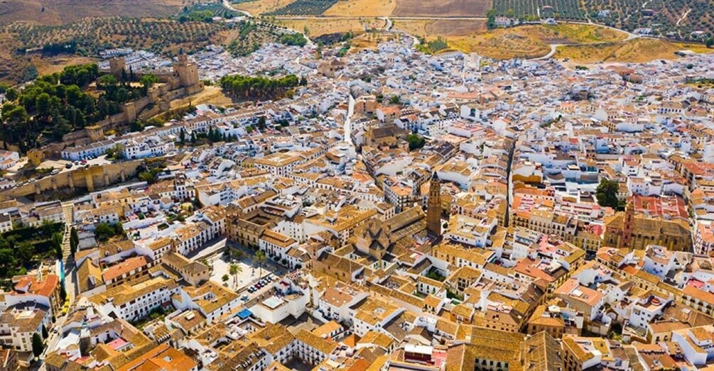 Picture 2 for Activity From Marbella: Antequera Wine Tour with Tastings and Lunch
