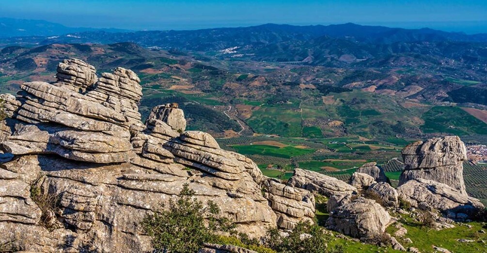 Picture 4 for Activity From Marbella: Antequera Wine Tour with Tastings and Lunch