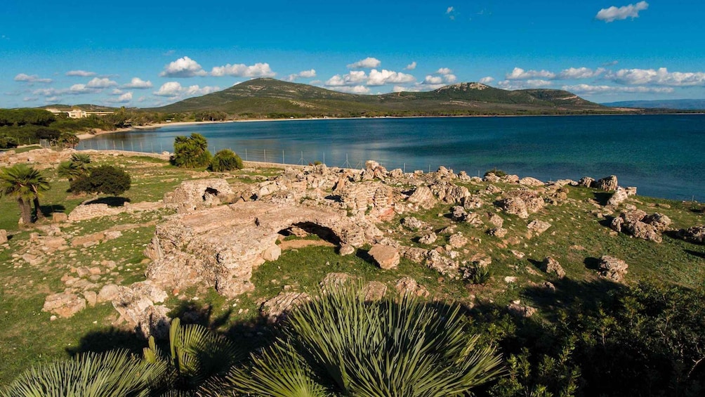 Picture 12 for Activity Alghero: Visit the Porto Conte Park Ecomuseum