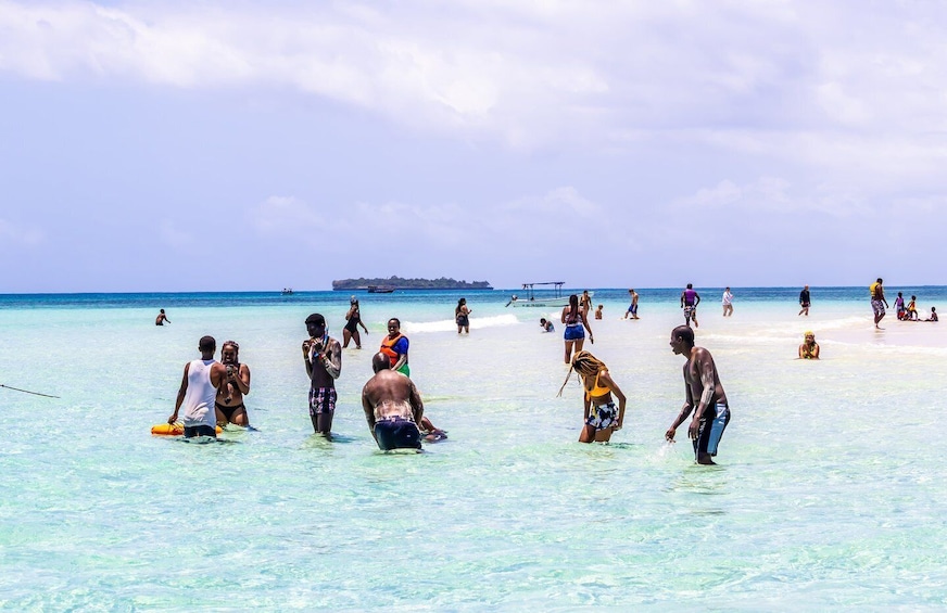 Picture 5 for Activity Wasini Island: Dolphin Spotting & Snorkel at Kisite Mpunguti