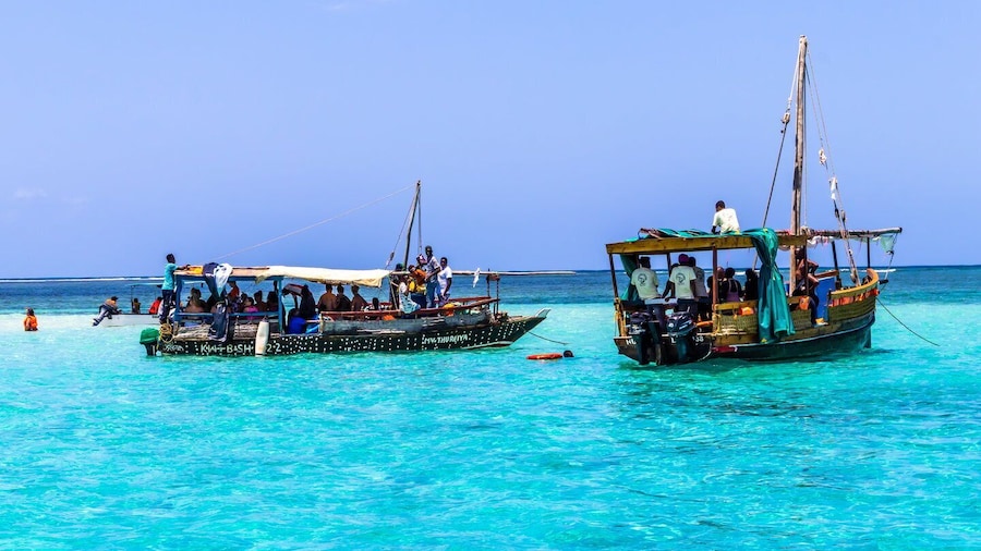 Wasini Island: Dolphin Spotting & Snorkel at Kisite Mpunguti