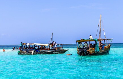 Wasini Island: Dolphin Spotting & Snorkel at Kisite Mpunguti