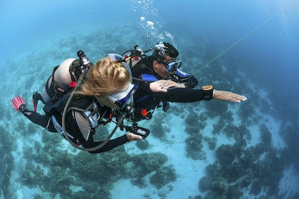 padi Scuba Diver Course in Fujairah with transfer and lunch