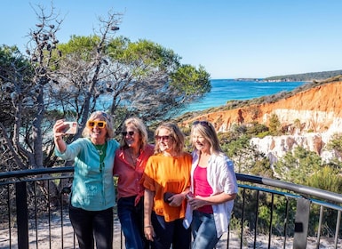 5-hour Eden Small Group Tour: Beaches, Lookouts and More