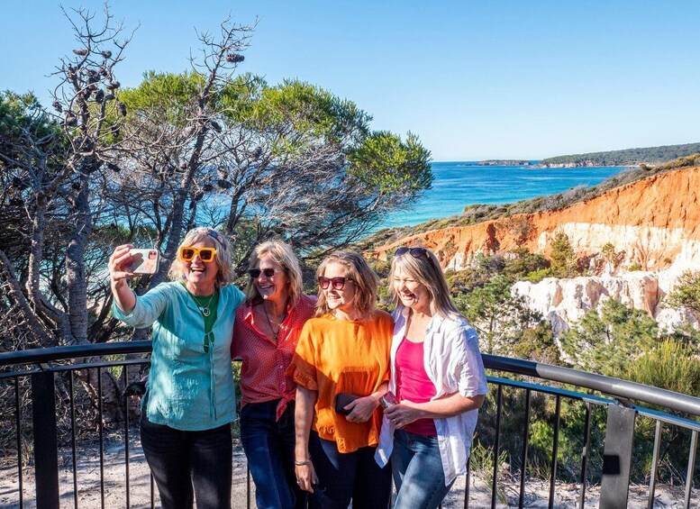 5-hour Eden Small Group Tour: Beaches, Lookouts and More