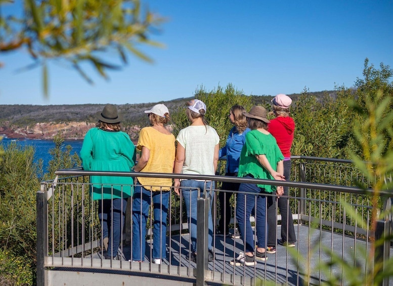 Picture 5 for Activity 5-hour Eden Small Group Tour: Beaches, Lookouts and More