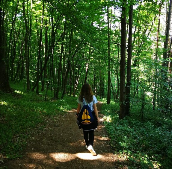 Belgrade: Kosutnjak forest hiking tour