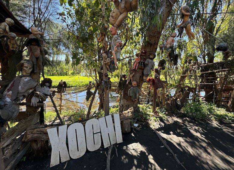 Picture 15 for Activity Mexico City: Xochimilco Boat Tour & The Island of the Dolls