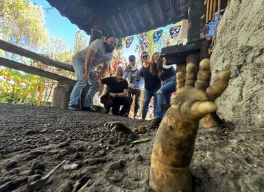 Mexico City: Xochimilco-bådtur og dukkernes ø