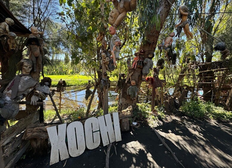 Picture 15 for Activity Mexico City: Xochimilco Boat Tour & The Island of the Dolls