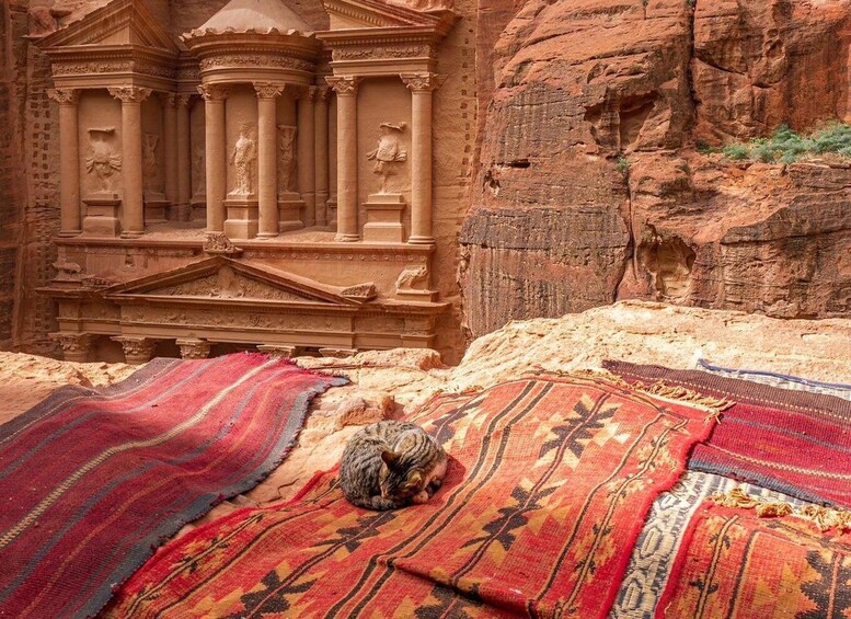 Picture 10 for Activity Petra, Little Petra & Shobak Castle -One Day Tour From Amman