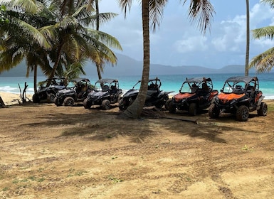 Samana: 3 hrs Buggy Tour with Transportation Included