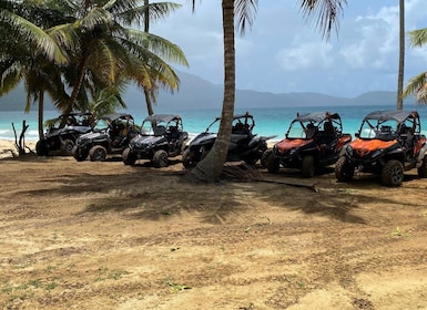 Samana: 3 hrs Buggy Tour with Transport Included