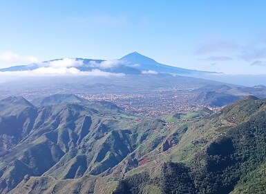 Puerto de la Cruz: Avatar forest -Taganana-Teresitas+coctail