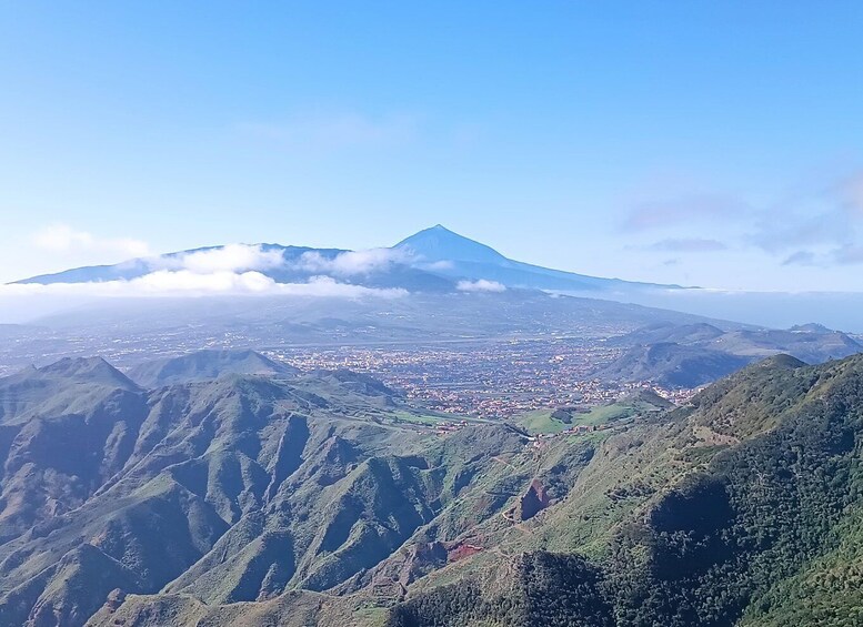 Puerto de la Cruz: Avatar forest -Taganana-Teresitas+coctail