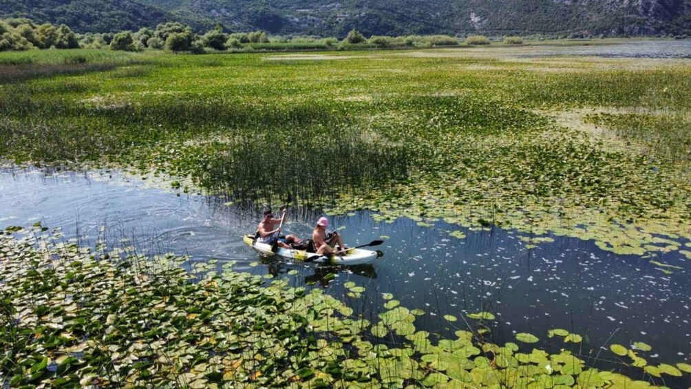 Picture 3 for Activity From Budva: Skadar Lake Land and Boat Tour