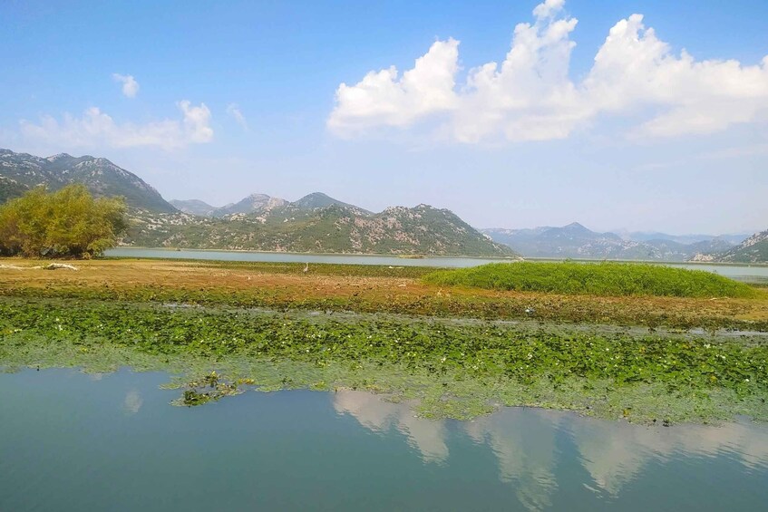 Picture 4 for Activity From Budva: Skadar Lake Land and Boat Tour