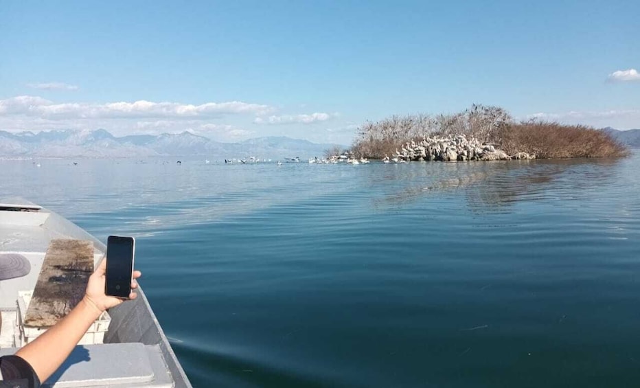 Picture 11 for Activity From Budva: Skadar Lake Land and Boat Tour