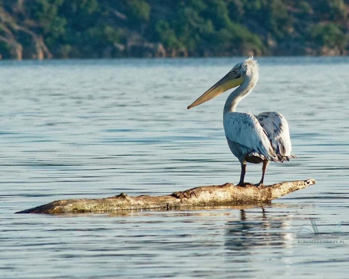 Picture 1 for Activity From Budva: Skadar Lake Land and Boat Tour