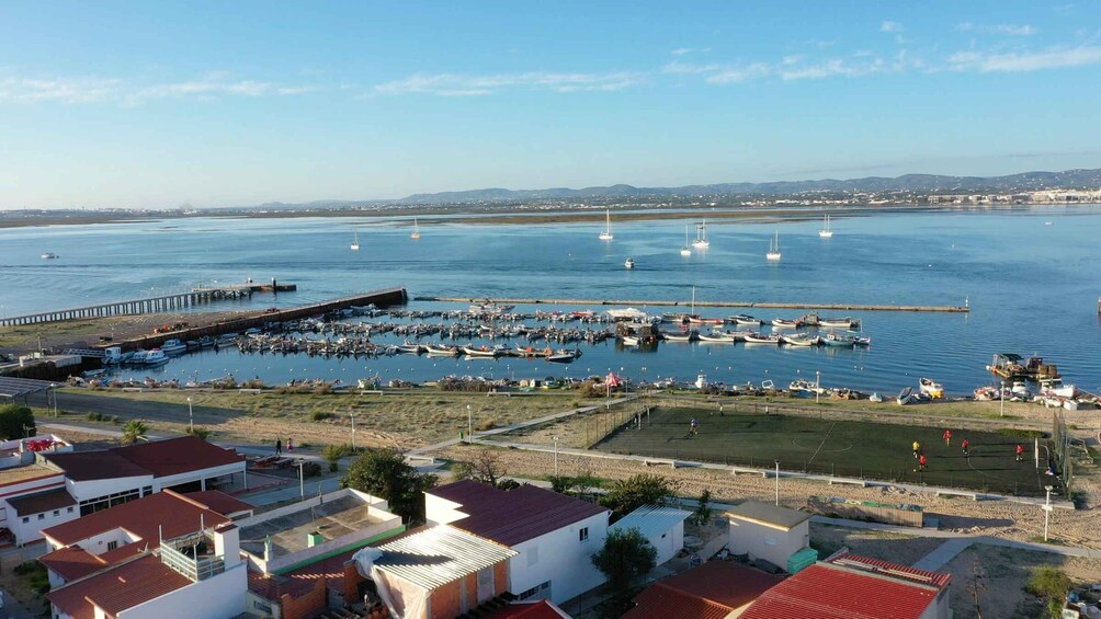 Picture 7 for Activity Olhão: Formosa Rota Da Ria