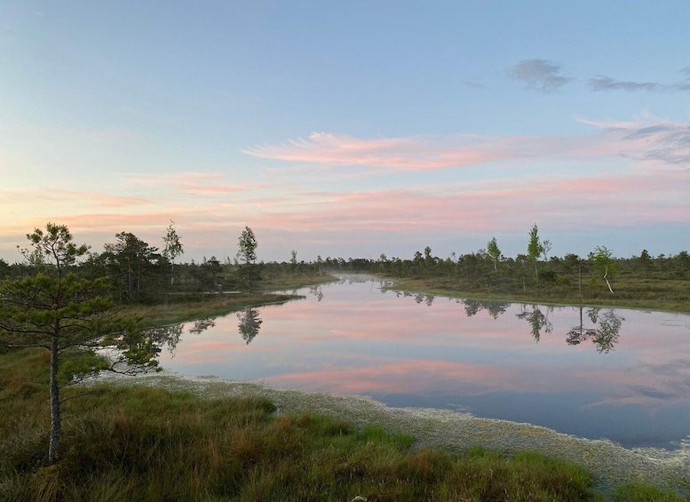 Picture 3 for Activity From Riga: Trip to Kemeri National Park & Jurmala