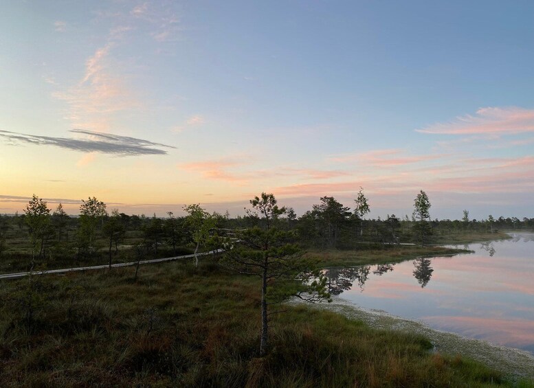 Picture 4 for Activity From Riga: Trip to Kemeri National Park & Jurmala